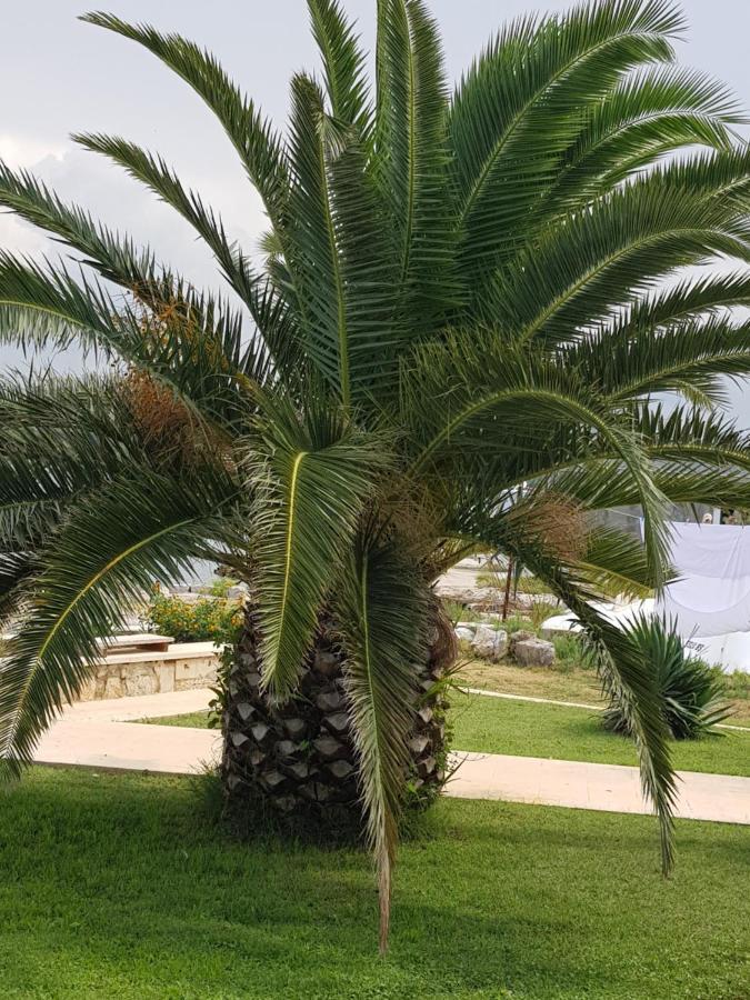 Celine & Fabienne * Brodarica (Sibenik-Knin)